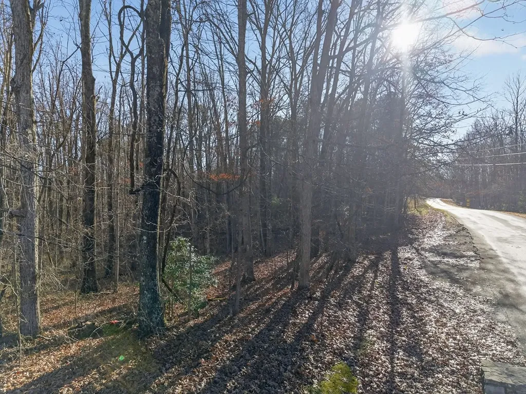Lot 9 Highway 70n Monterey TN 38574