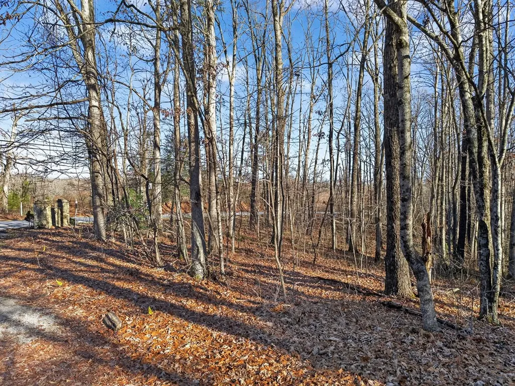 Lot 9 Highway 70n Monterey TN 38574