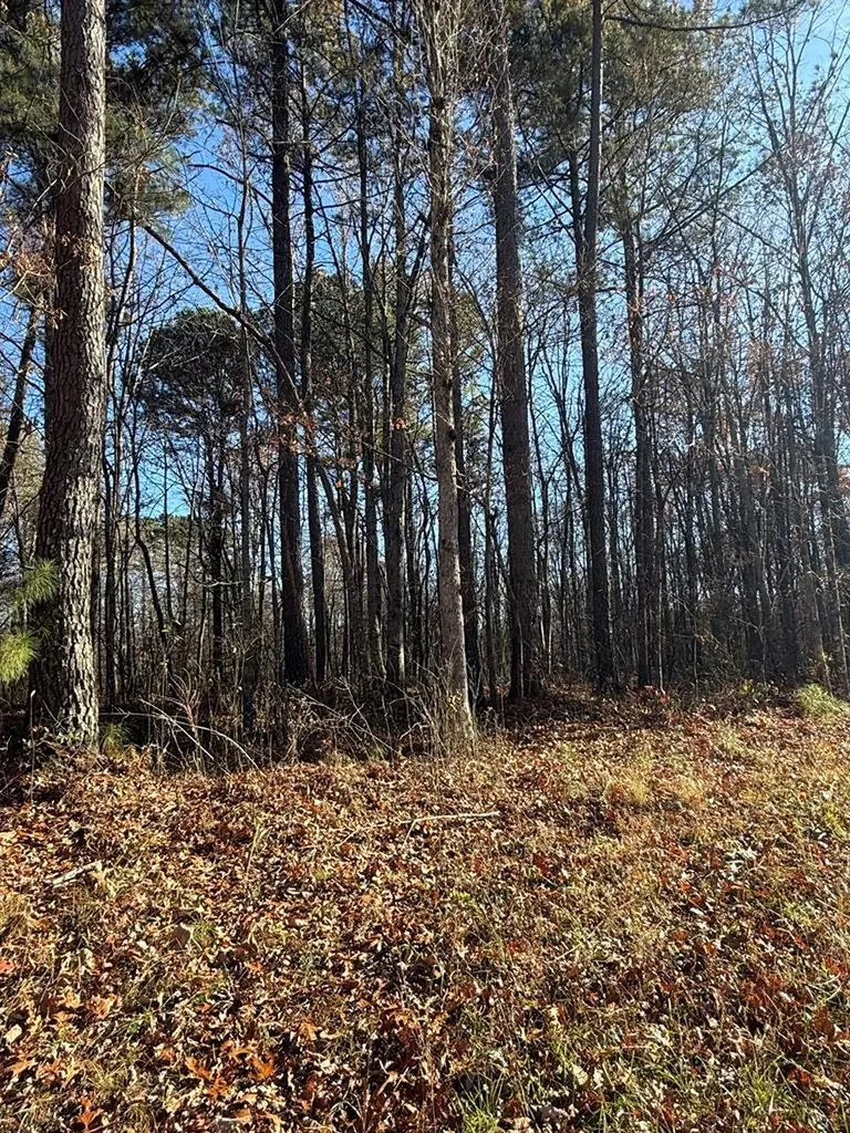 Lot 9 Highway 70n Monterey TN 38574
