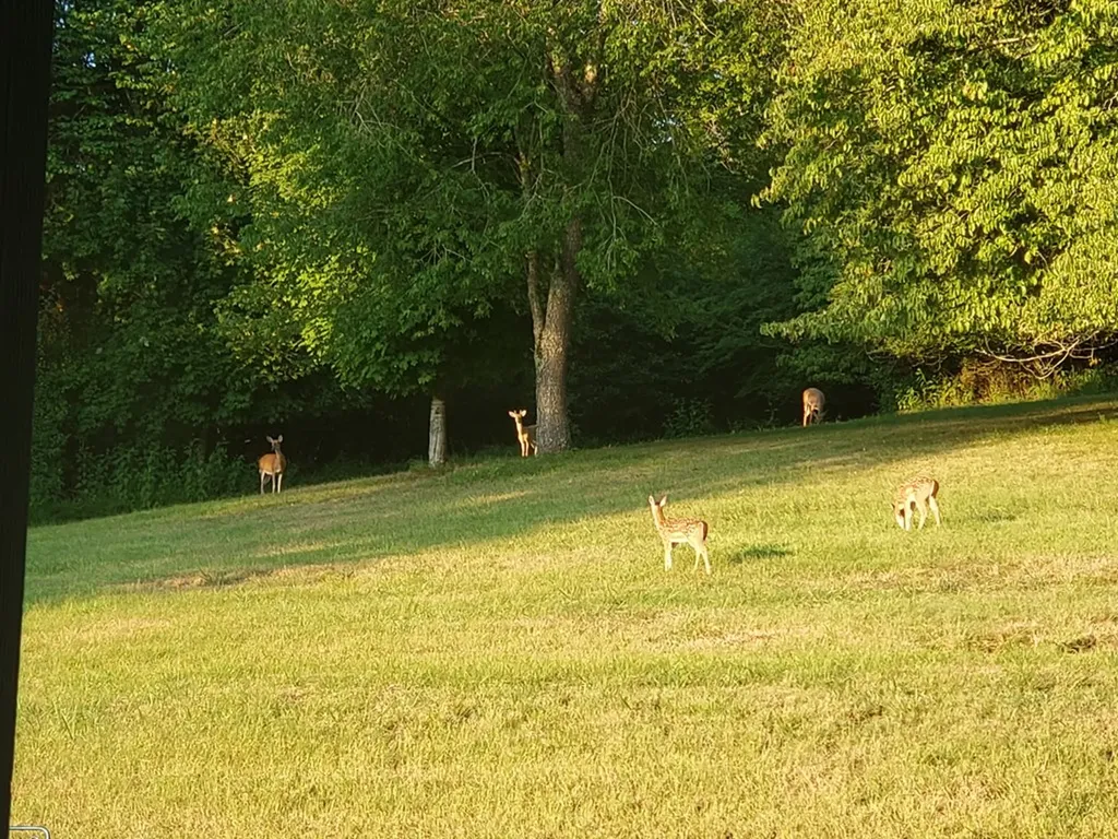 57 Lakeside Drive Carthage TN 37030