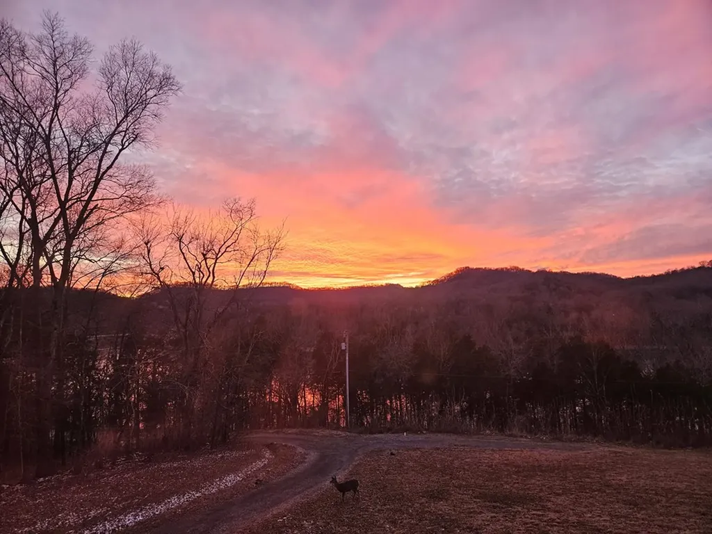 57 Lakeside Drive Carthage TN 37030