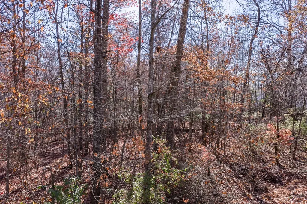 16 Rena Circle Crossville TN 38572