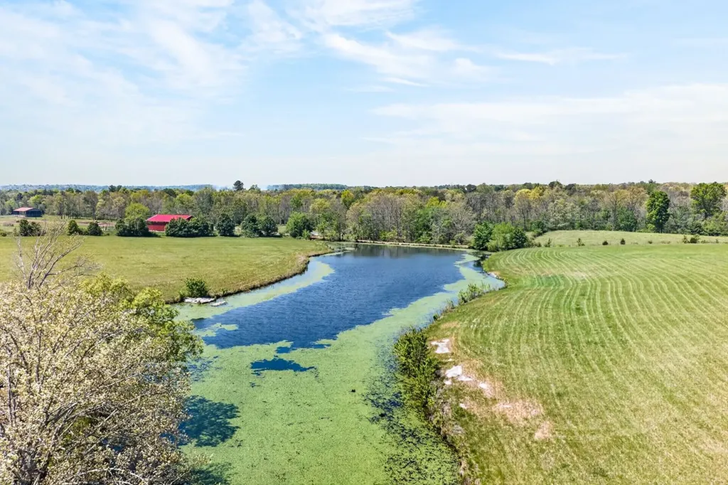 135 Austin Lane Deer Lodge TN 37726