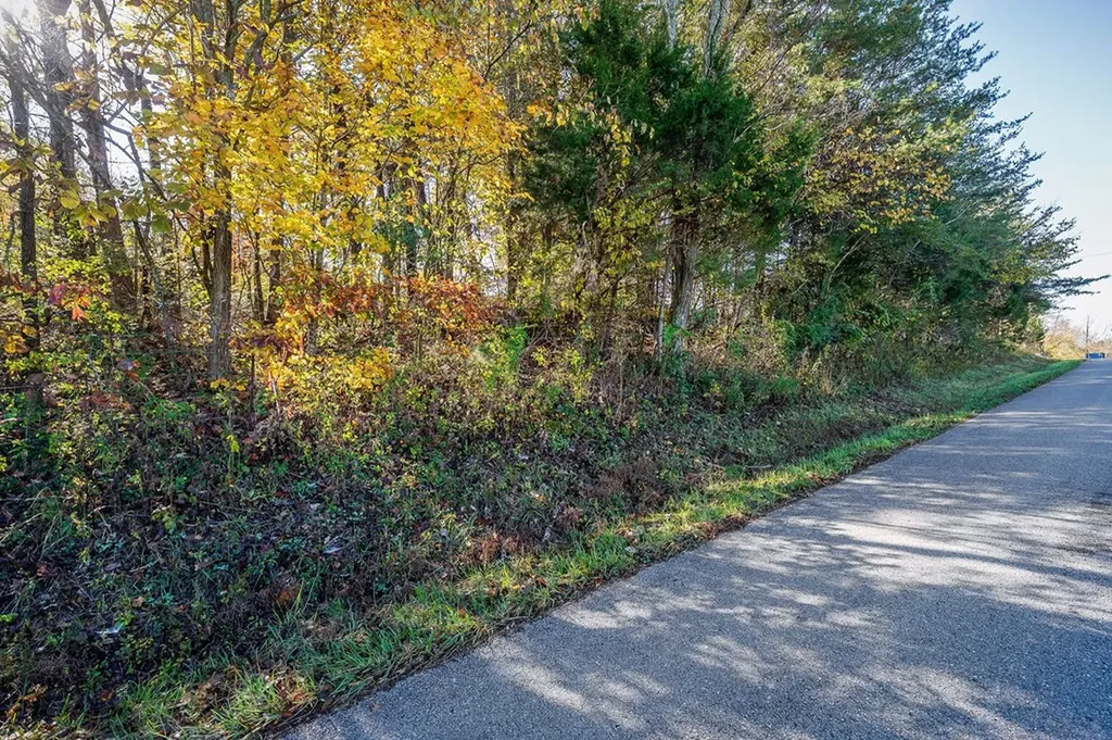 Lot 2 Joppa Road Sparta TN 38583