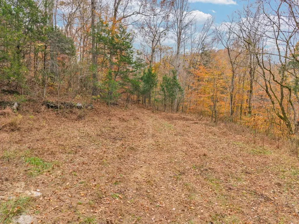 0 Ensor Hollow Road Buffalo Valley TN 38548