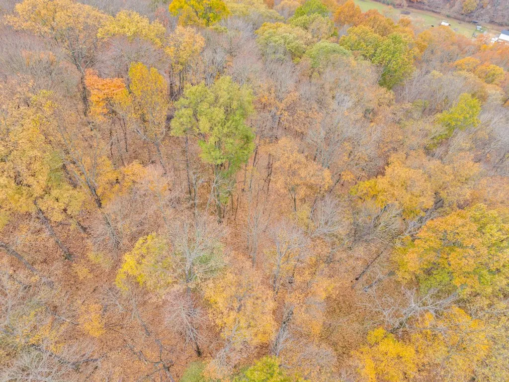 0 Ensor Hollow Road Buffalo Valley TN 38548