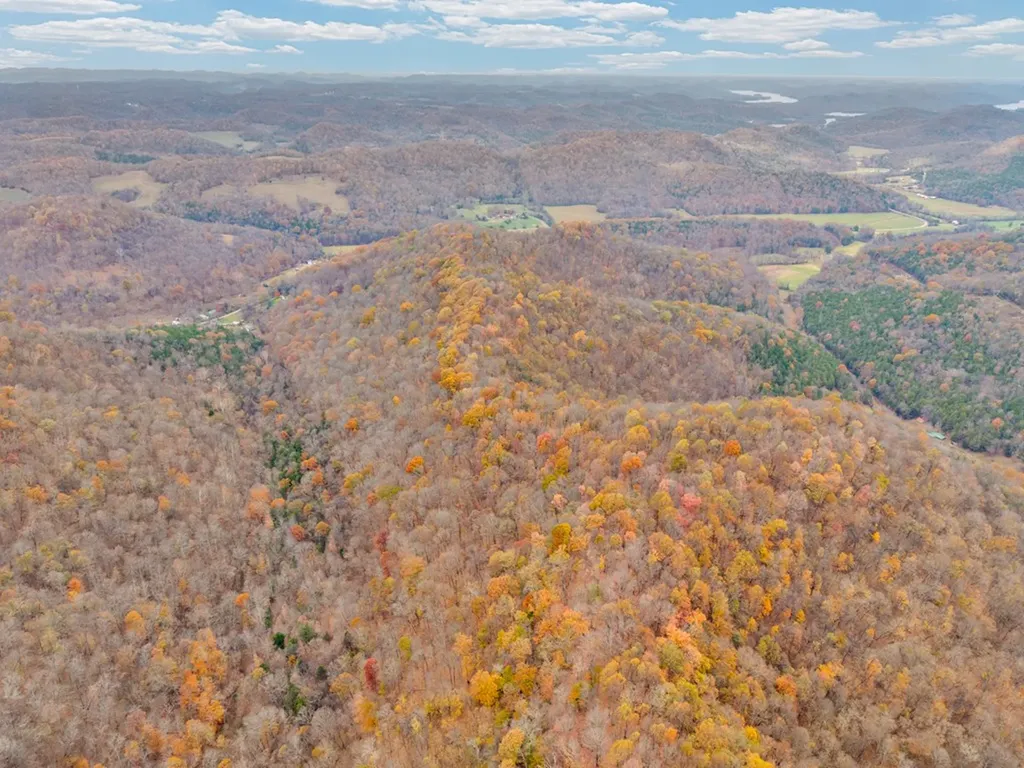 0 Ensor Hollow Road Buffalo Valley TN 38548