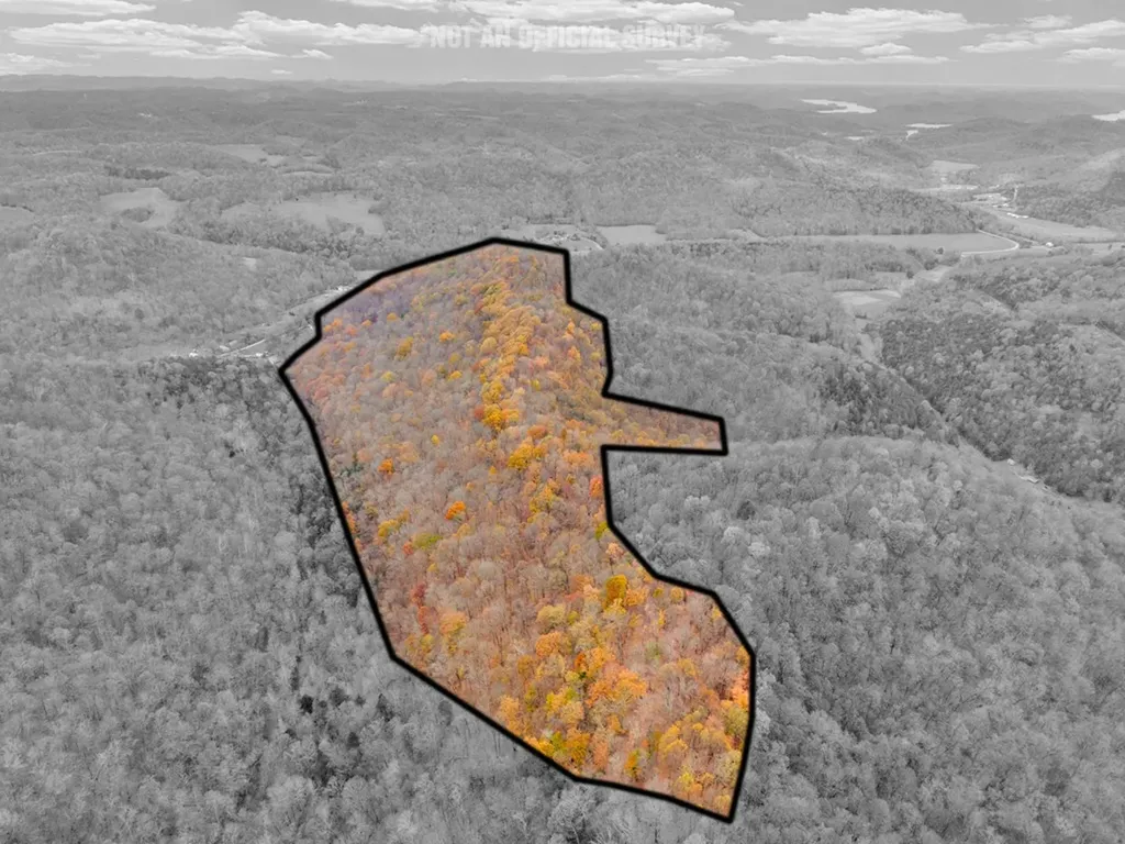 0 Ensor Hollow Road Buffalo Valley TN 38548