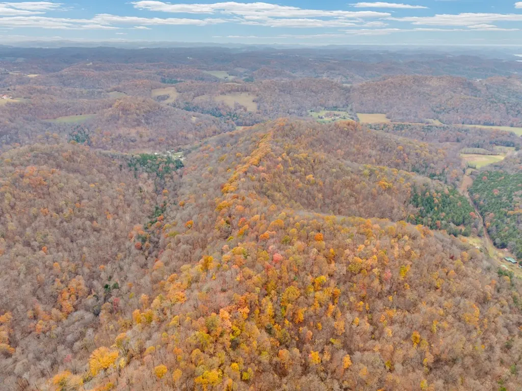 0 Ensor Hollow Road Buffalo Valley TN 38548