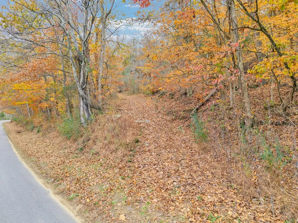 0 Ensor Hollow Road Buffalo Valley TN 38548