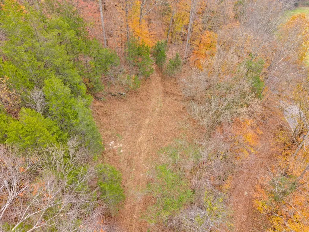 0 Ensor Hollow Road Buffalo Valley TN 38548