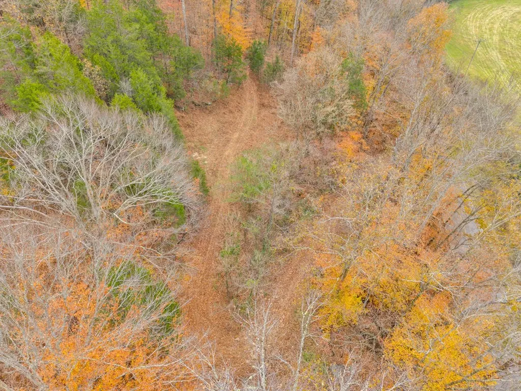0 Ensor Hollow Road Buffalo Valley TN 38548
