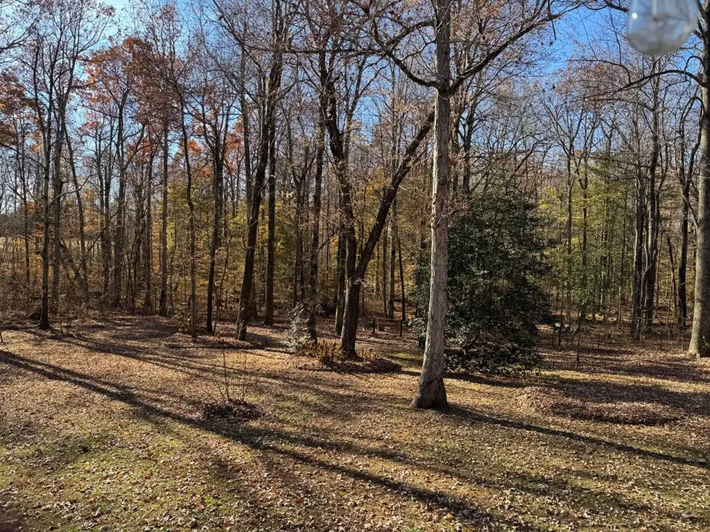 2025 Old Bon Air Road Sparta TN 38583