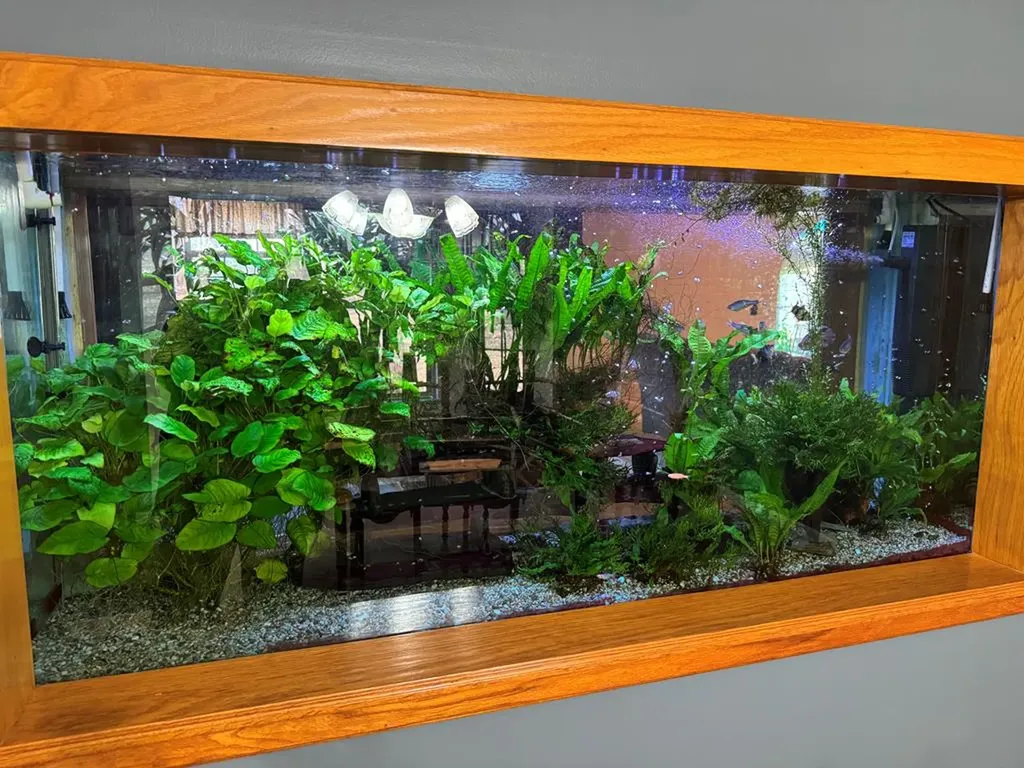 2025 Old Bon Air Road Sparta TN 38583