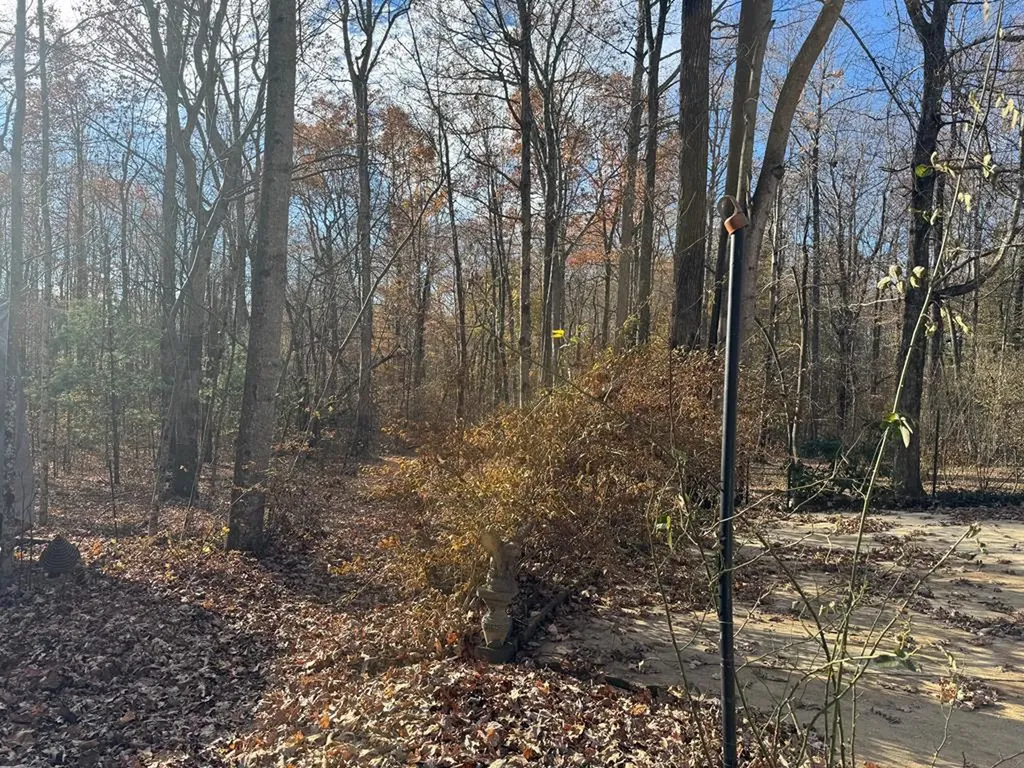 2025 Old Bon Air Road Sparta TN 38583