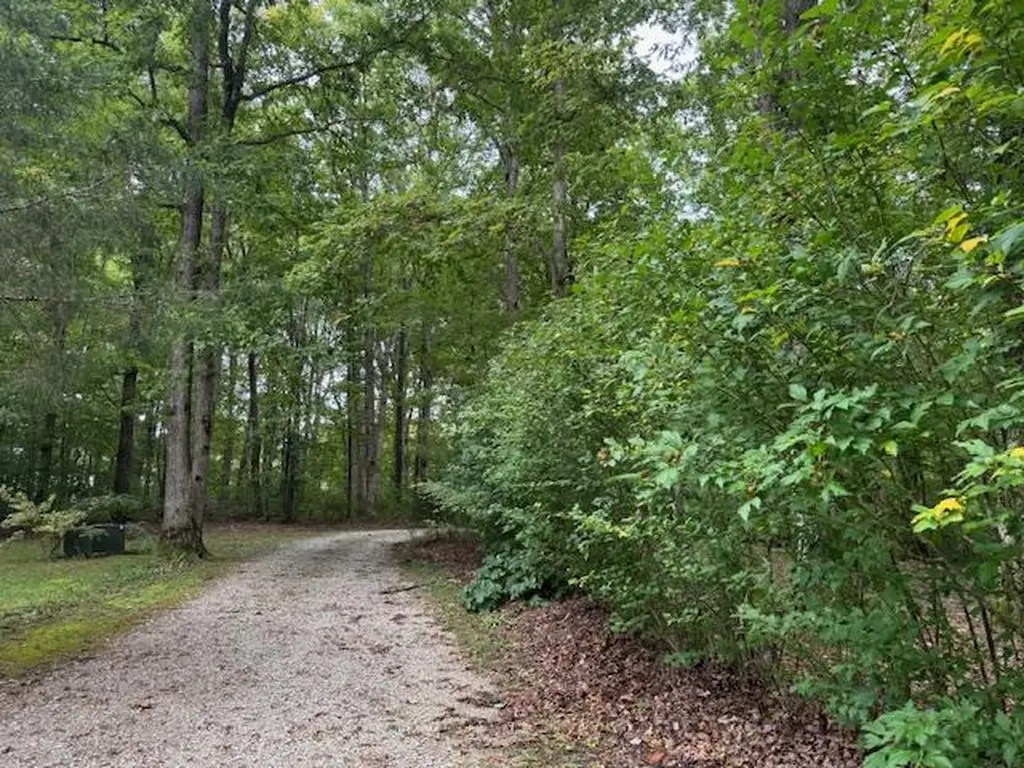 2025 Old Bon Air Road Sparta TN 38583