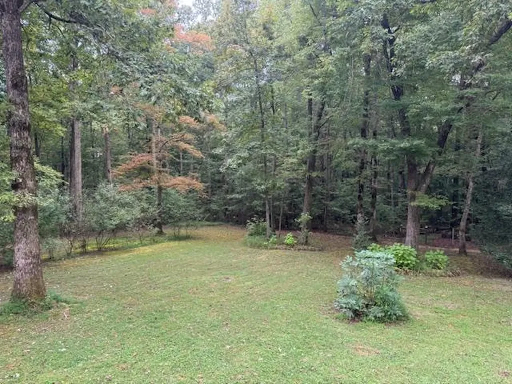 2025 Old Bon Air Road Sparta TN 38583