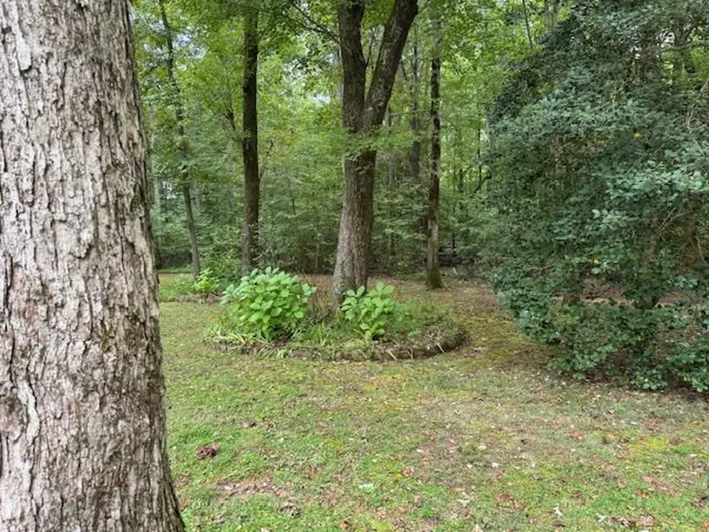 2025 Old Bon Air Road Sparta TN 38583