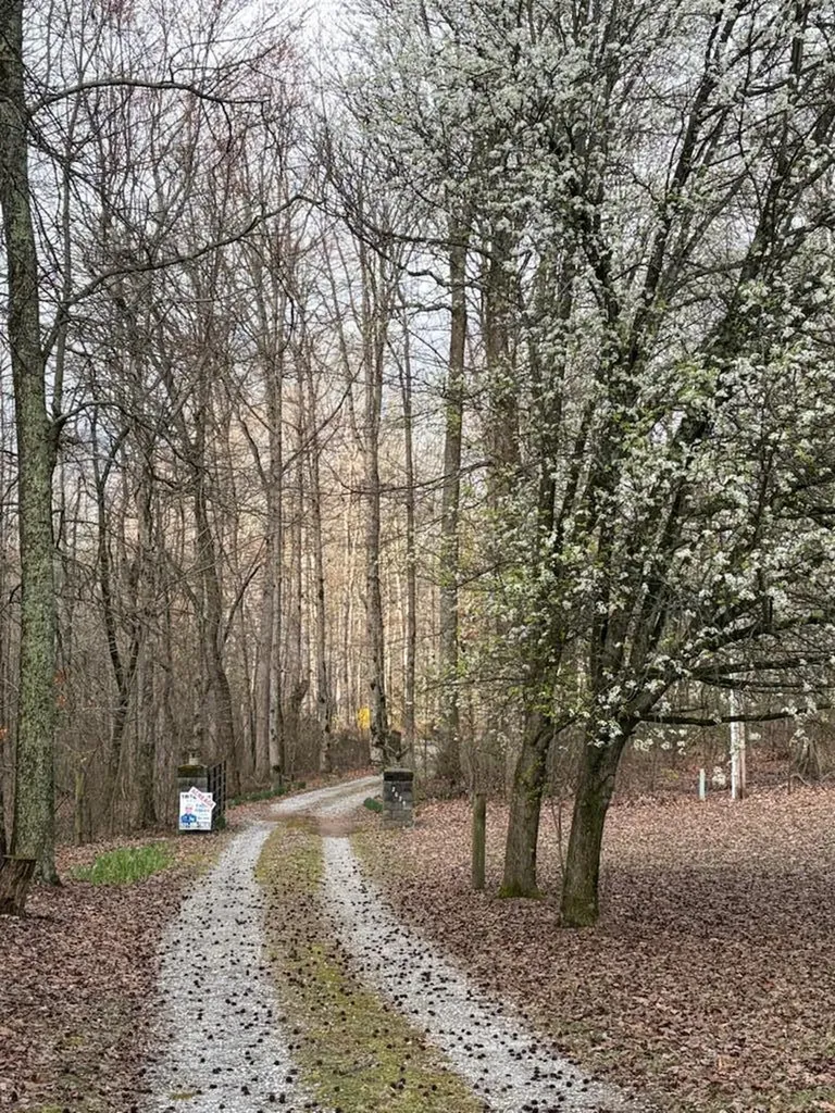 2025 Old Bon Air Road Sparta TN 38583