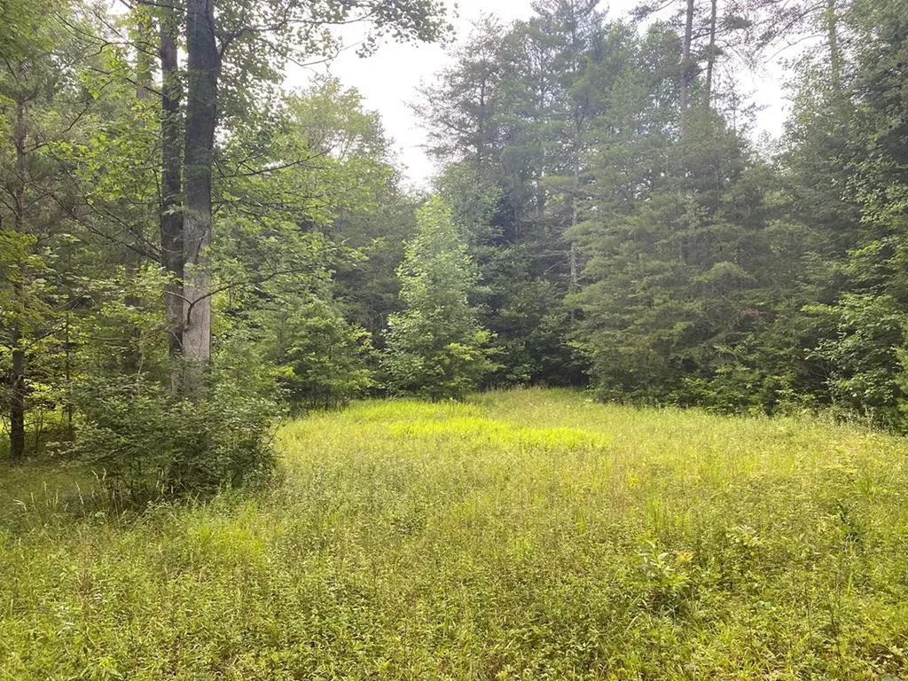 0 Baxter Norris Road Crab Orchard TN 37723