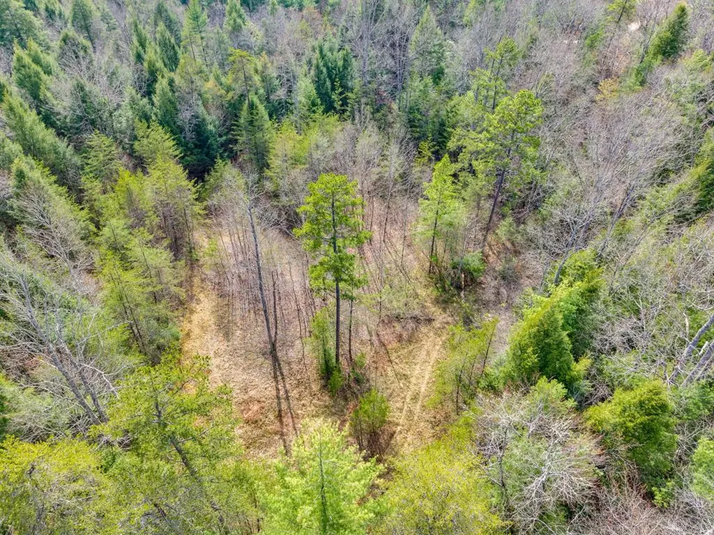 0 Baxter Norris Road Crab Orchard TN 37723