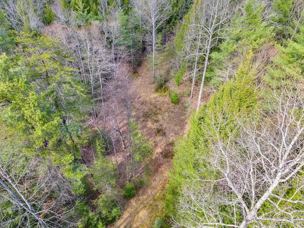0 Baxter Norris Road Crab Orchard TN 37723
