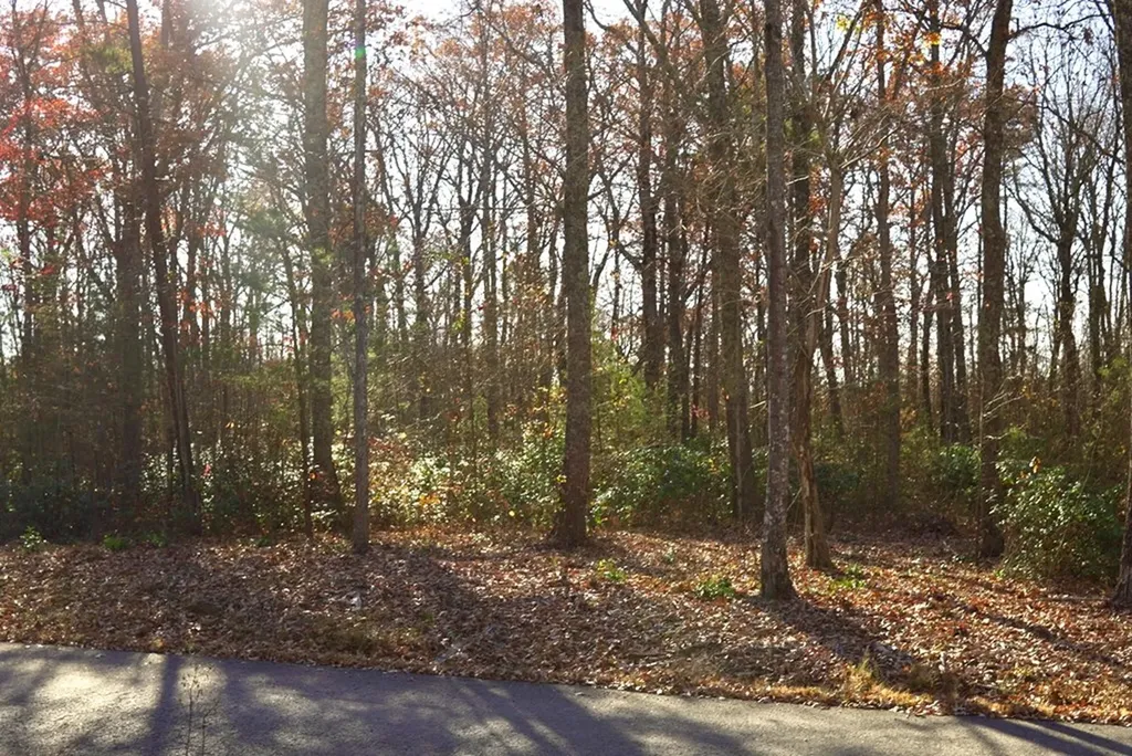 Lot 38 Overlook Drive Spencer TN 38585