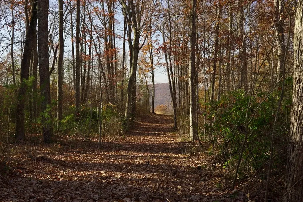 Lot 38 Overlook Drive Spencer TN 38585