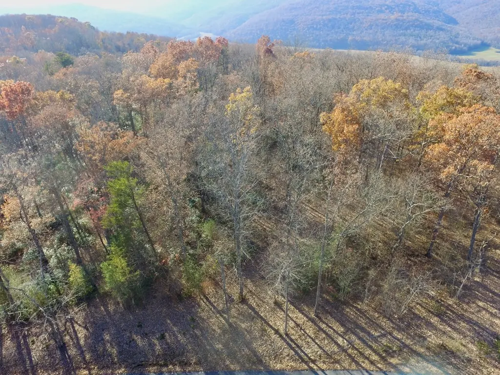 Lot 38 Overlook Drive Spencer TN 38585