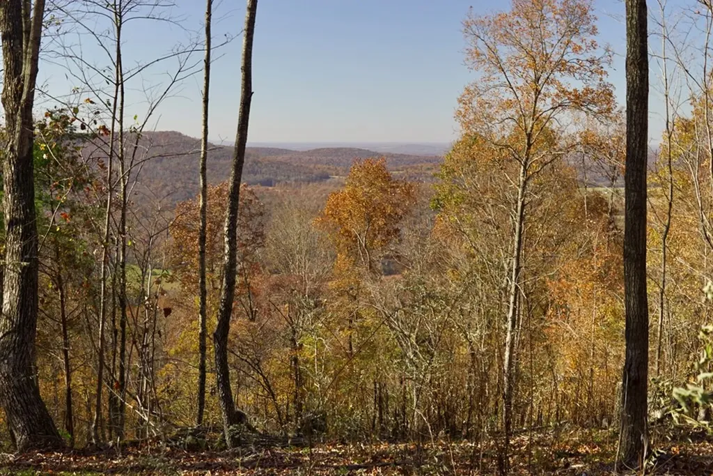Lot 38 Overlook Drive Spencer TN 38585