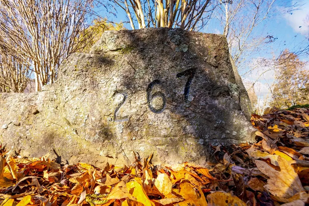 267 Williams Road Dunlap TN 37327