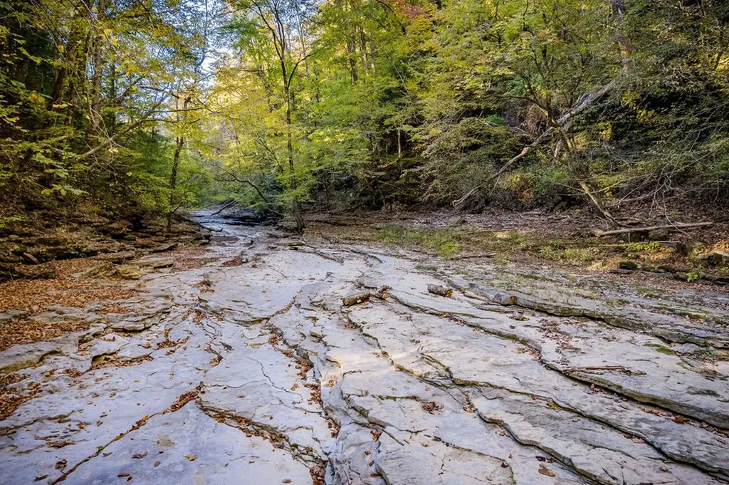 1050 Pine Creek Falls Road Smithville TN 37166