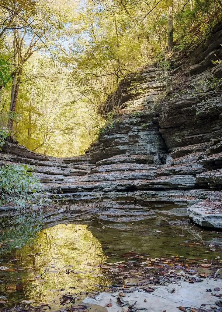 1050 Pine Creek Falls Road Smithville TN 37166