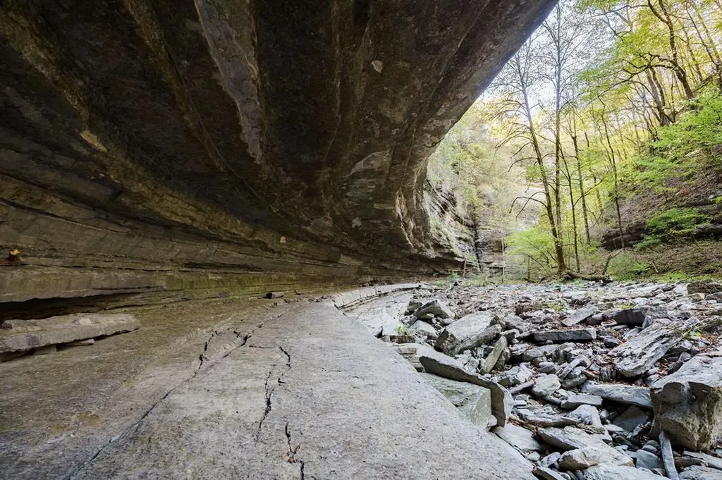 1050 Pine Creek Falls Road Smithville TN 37166