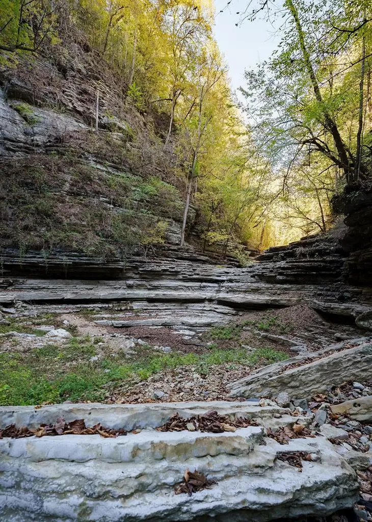 1050 Pine Creek Falls Road Smithville TN 37166