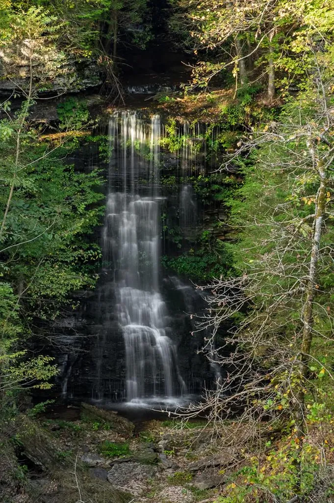 1050 Pine Creek Falls Road Smithville TN 37166