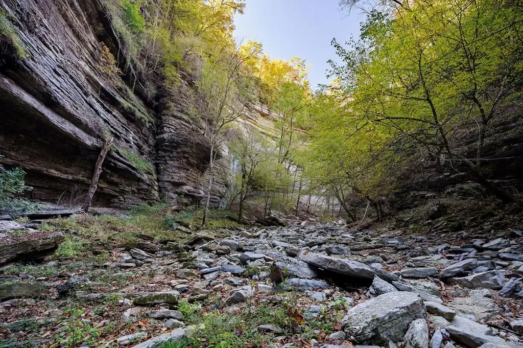 1050 Pine Creek Falls Road Smithville TN 37166