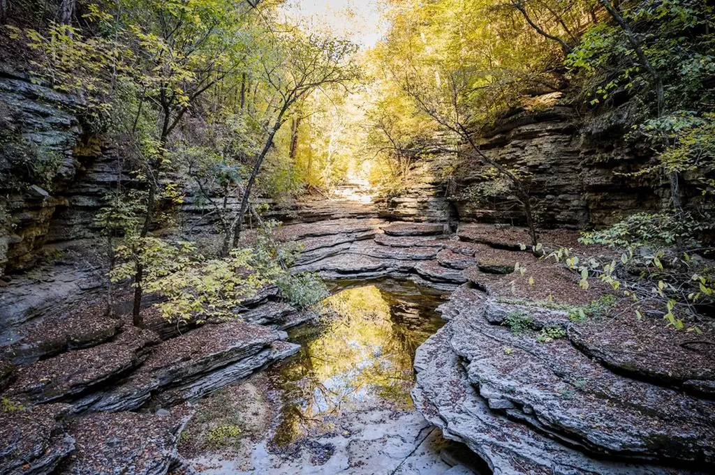 1050 Pine Creek Falls Road Smithville TN 37166