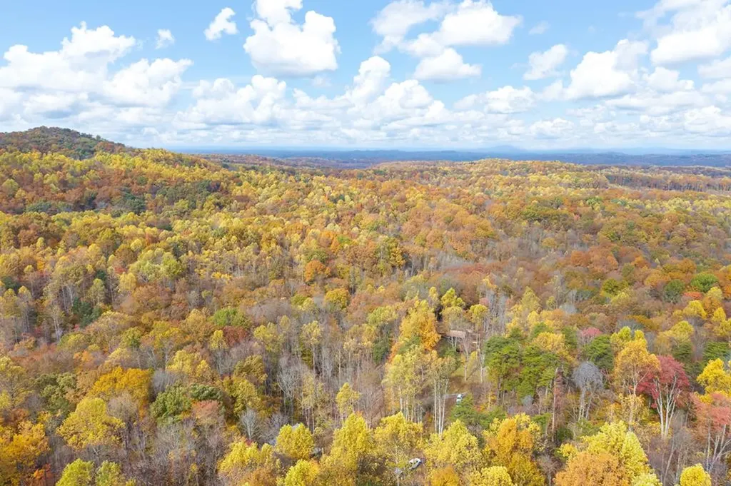 215 Roughshod Lane Hilham TN 38568