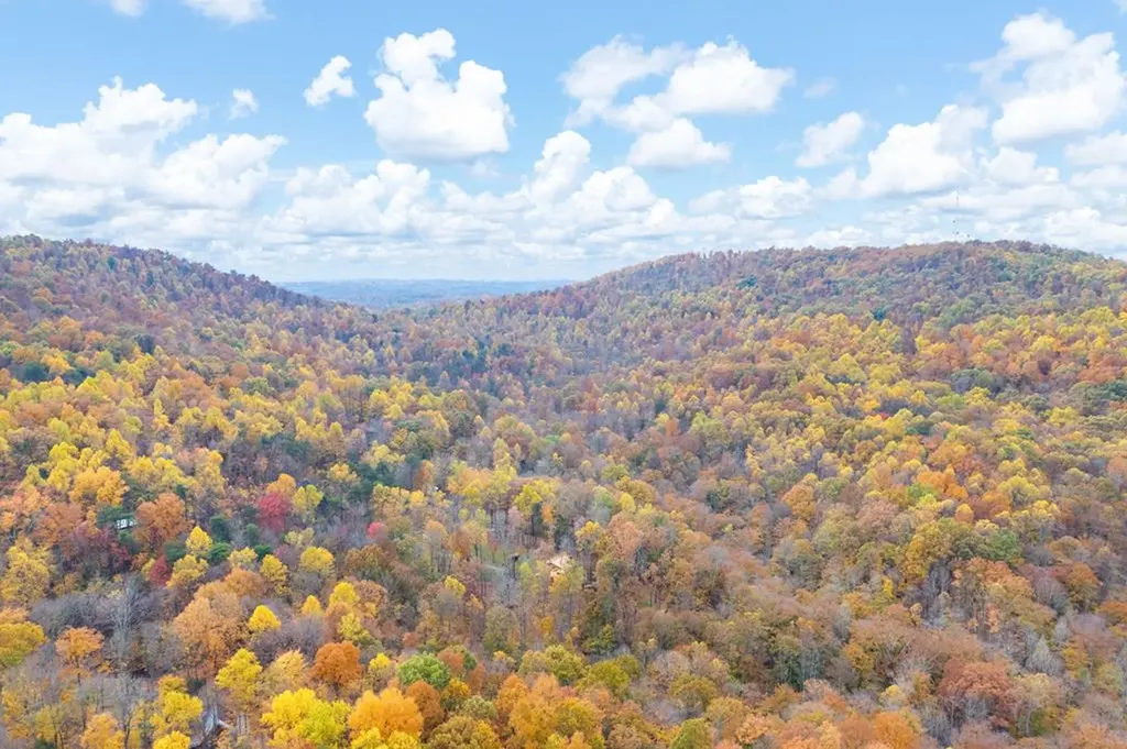 215 Roughshod Lane Hilham TN 38568