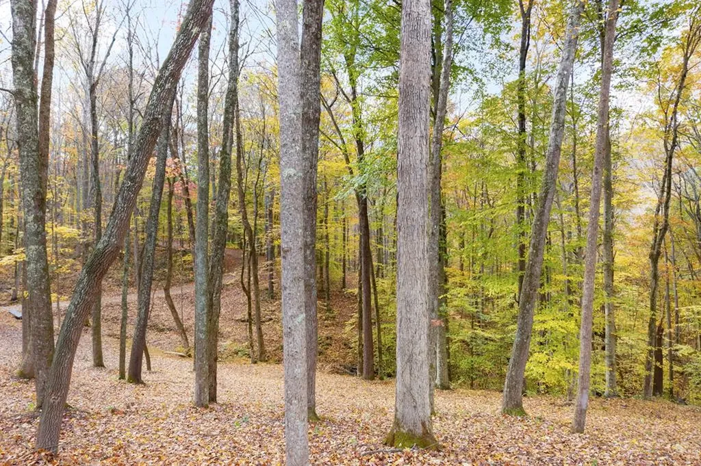 215 Roughshod Lane Hilham TN 38568