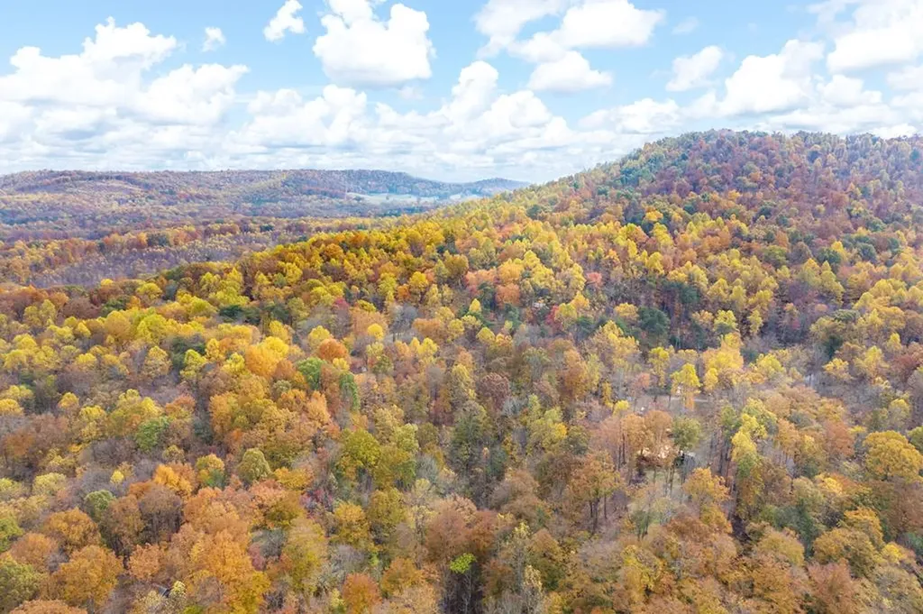 215 Roughshod Lane Hilham TN 38568