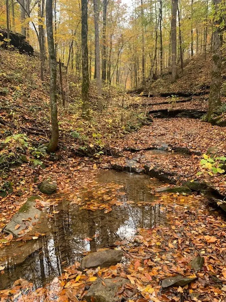 215 Roughshod Lane Hilham TN 38568