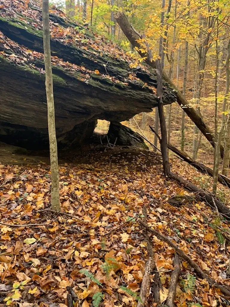 215 Roughshod Lane Hilham TN 38568