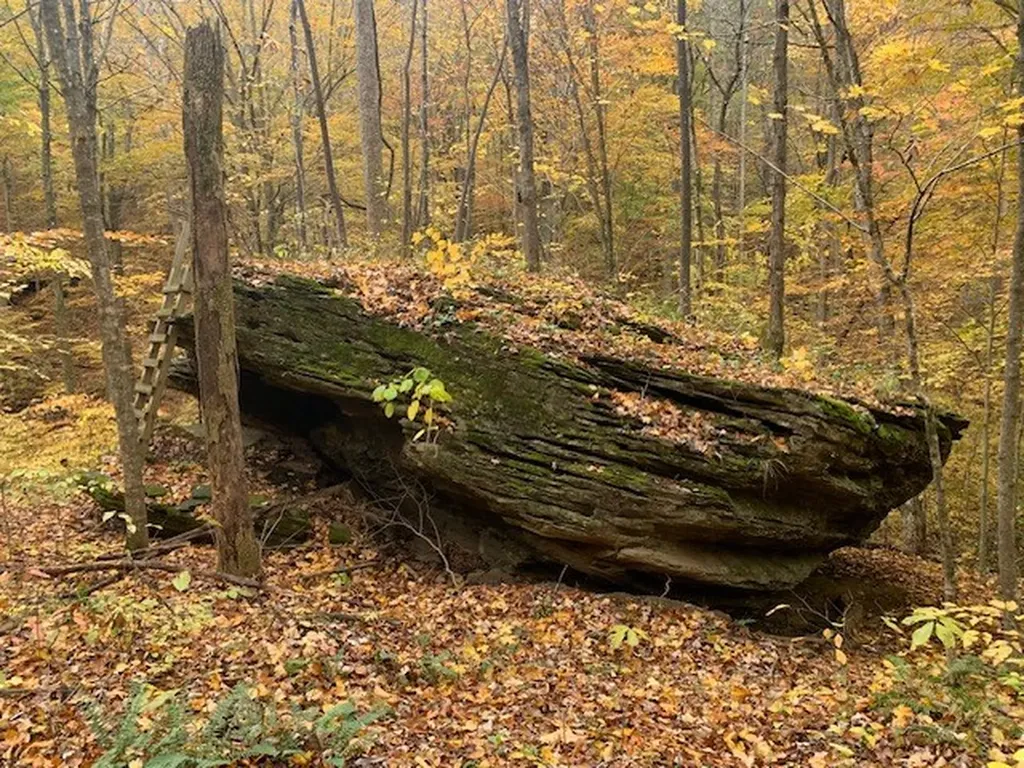 215 Roughshod Lane Hilham TN 38568