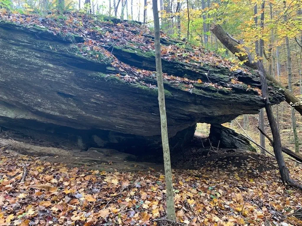 215 Roughshod Lane Hilham TN 38568