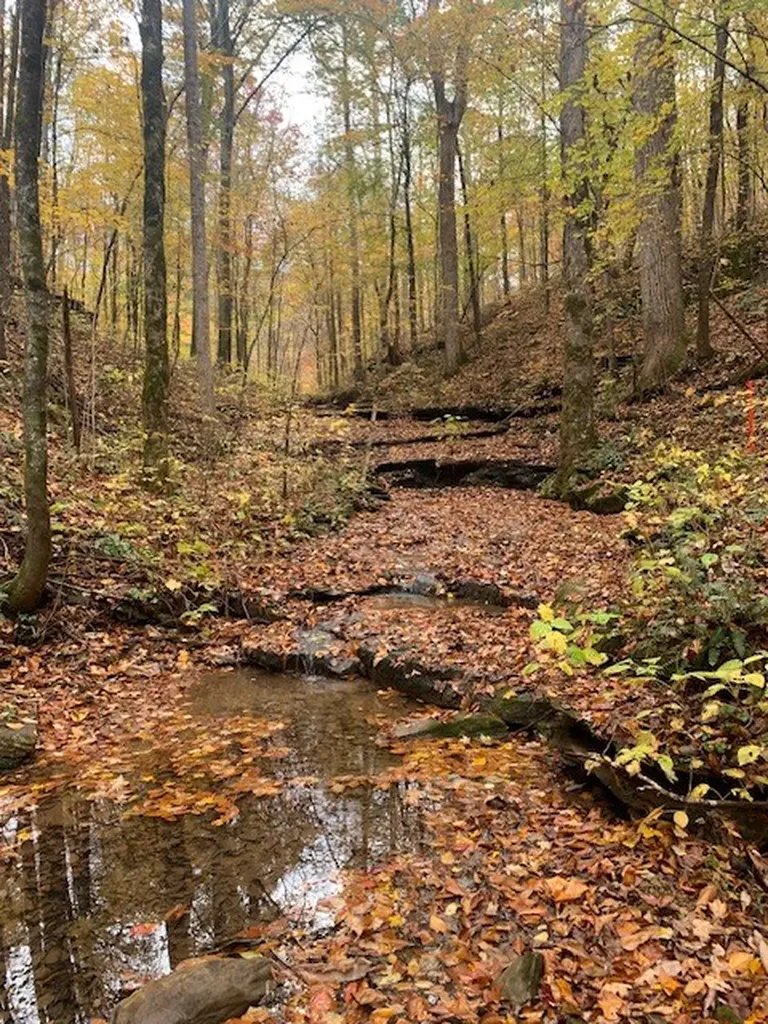 215 Roughshod Lane Hilham TN 38568