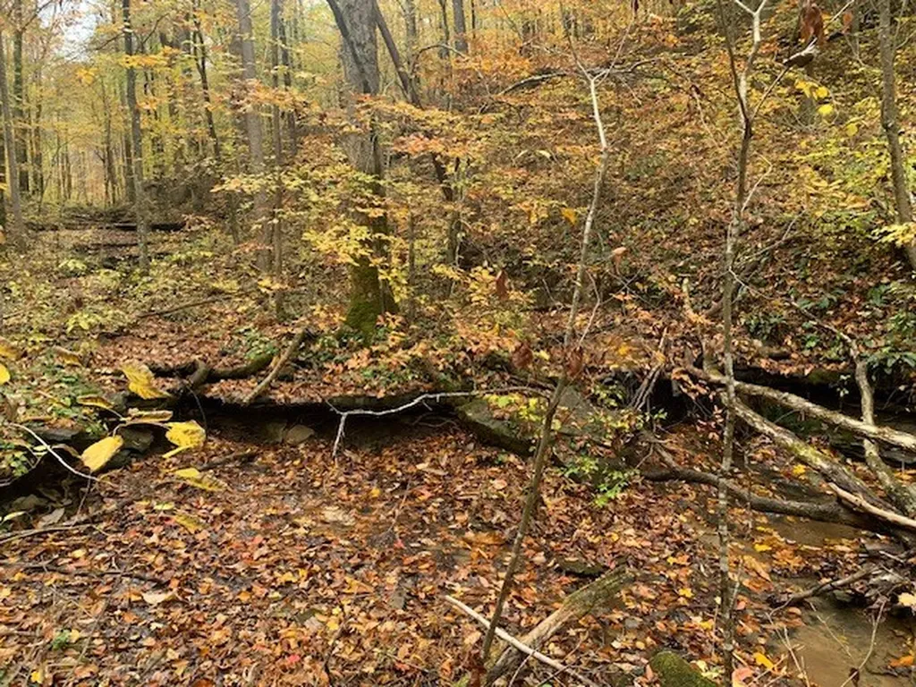 215 Roughshod Lane Hilham TN 38568