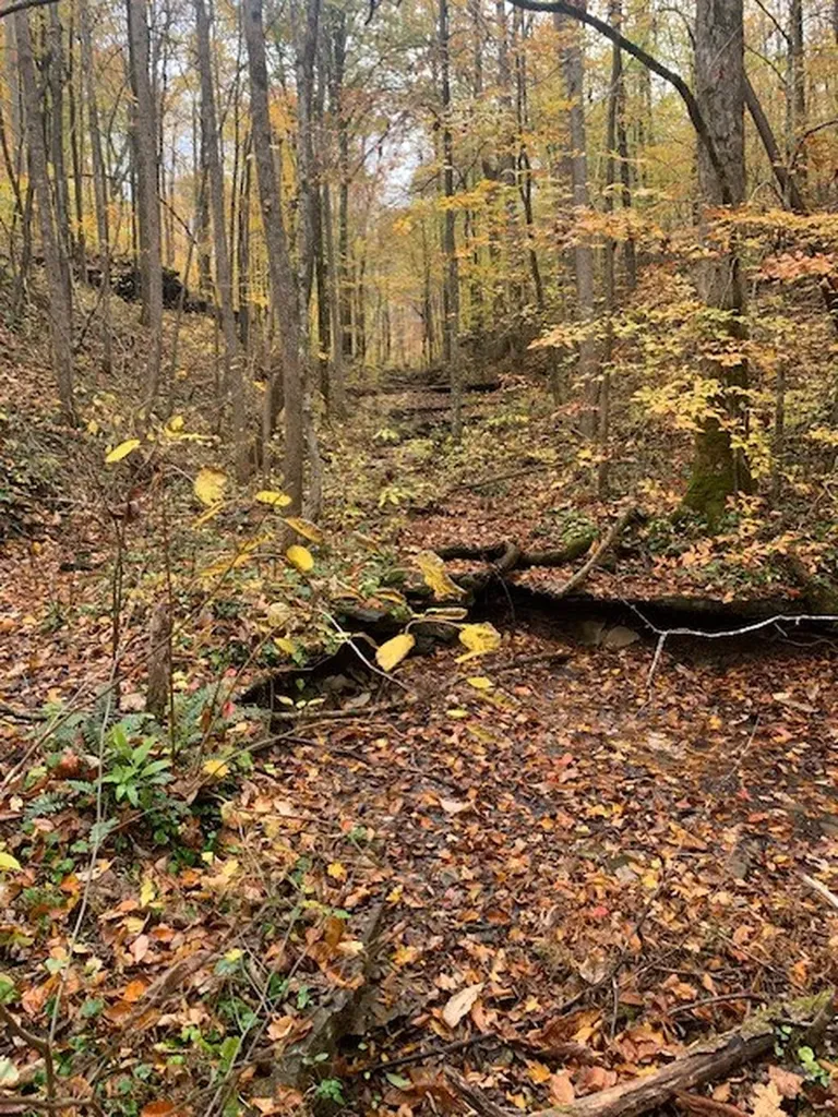 215 Roughshod Lane Hilham TN 38568