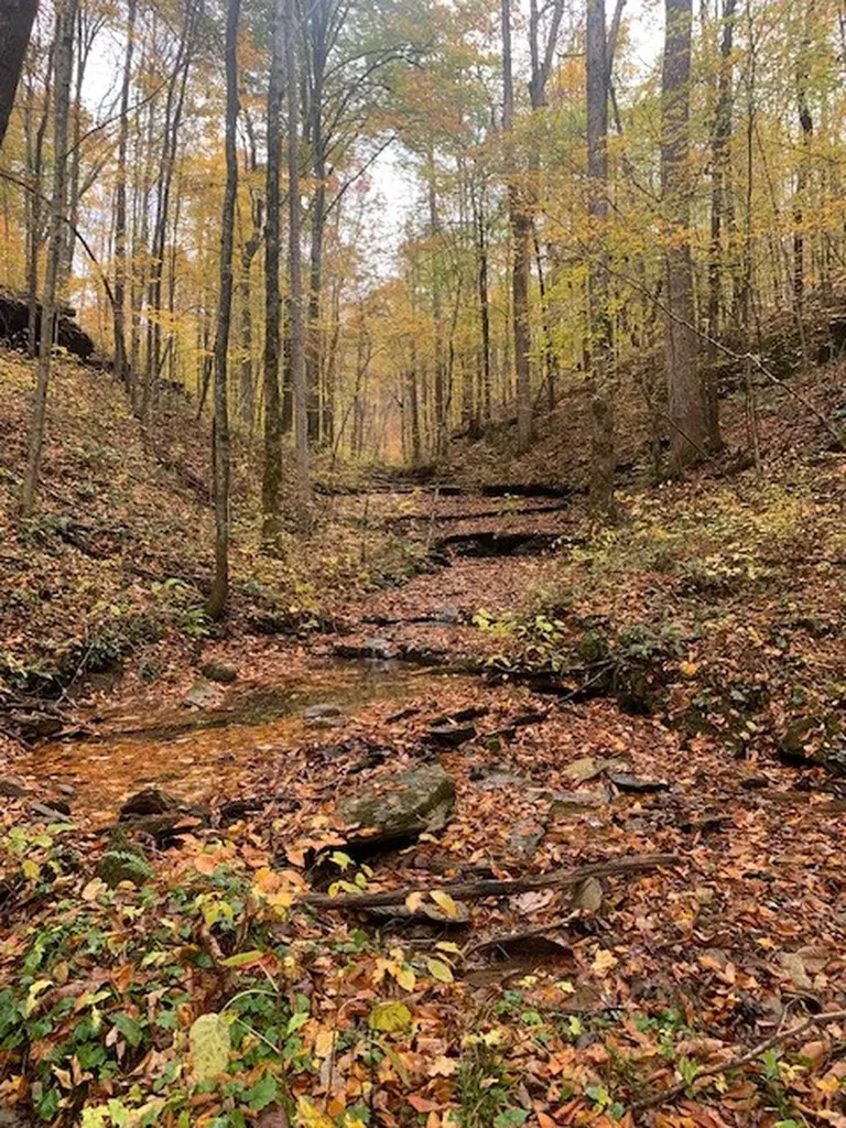 215 Roughshod Lane Hilham TN 38568